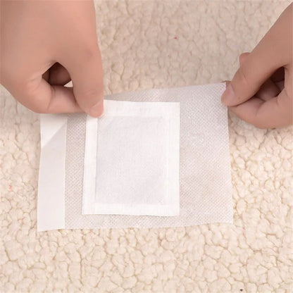 HarmonieLab - Detox Foot Pads (10 pcs)